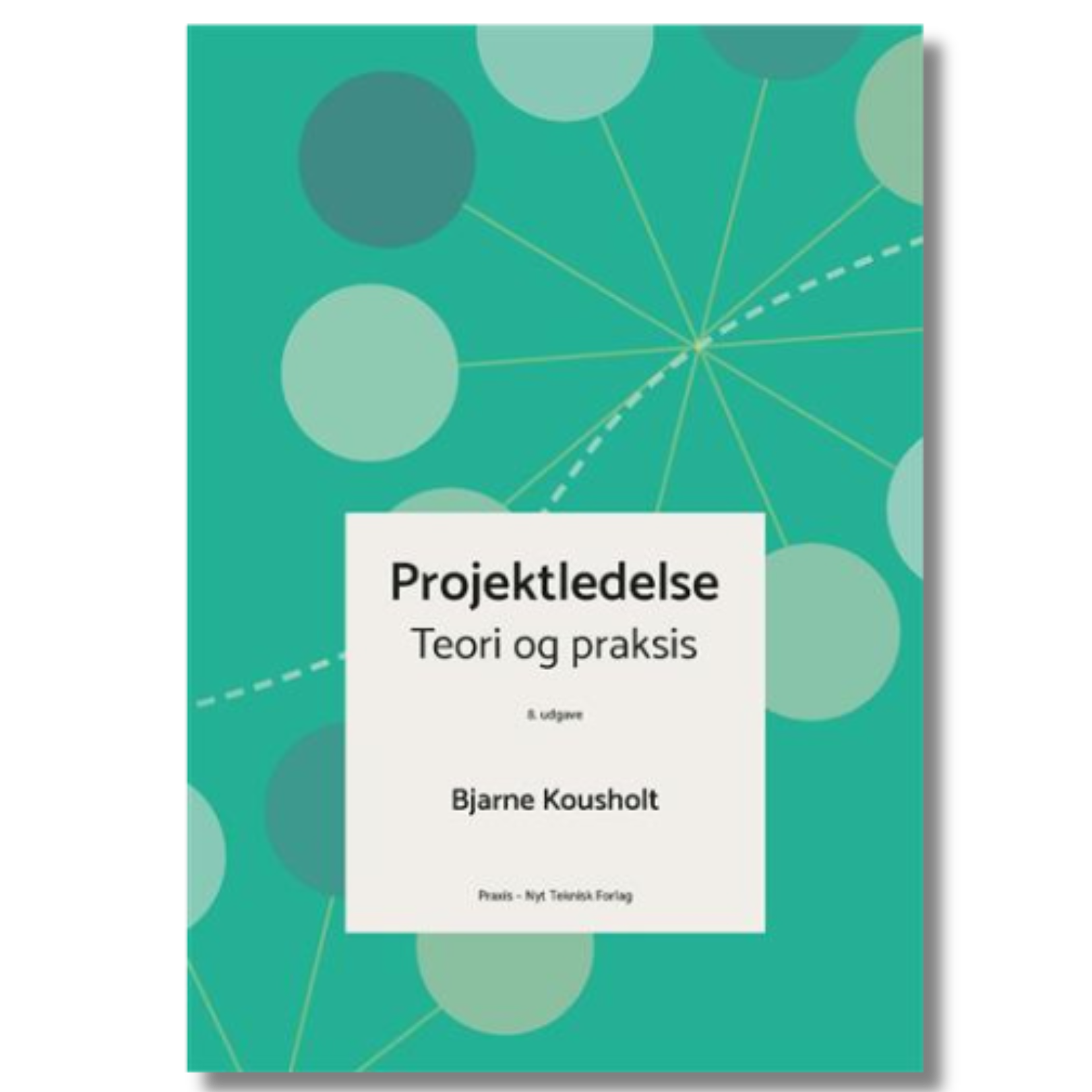 Projektledelse – teori og praksis af Bjarne Kousholt